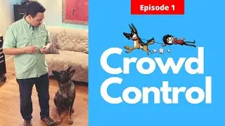 Service dog crowd control - Your service dog can help you keep distance from the Crowd