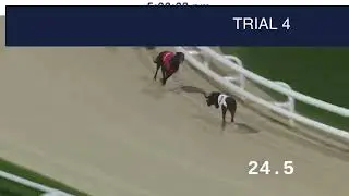 Dunstall Park Trials on 12th November 2025