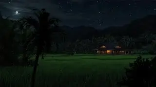 Cricket and Insects Sounds | Tranquil Night Ambience for Relaxation, Meditation & Deep Sleep 😴