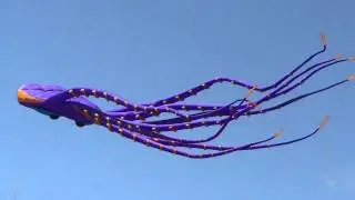 Giant Squid kite at San Ramon Art & Wind Festival 2012