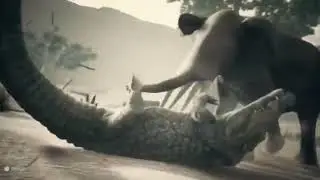 Ancestors The Humankind Odyssey - Animal Fight Compilation Part 6 Finale!