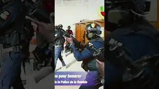 BIP