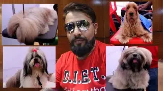 DOG SHOW 2022 BHUBANESWAR , #india #odisha #dog #petlover #pets