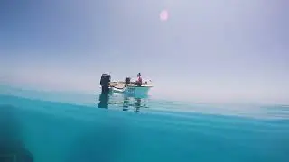John Brewer Reef, Townsville - Snorkelling