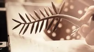 Cannes Film Festival Palme d&rsquo;Or - Making-Of