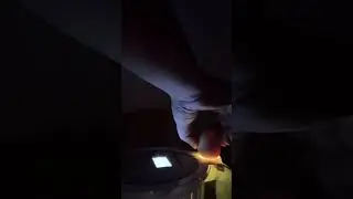 Candling chicken eggs