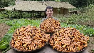 Harvesting Turmeric in the Garden - Taking It to the Market | Countryside Life | Solo Survival