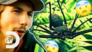Parker VS The Guyanese Jungle | Gold Rush: Parker's Trail