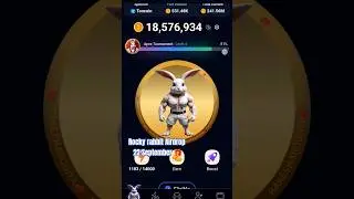 Rocky rabbit airdrop 22 September #crypto #coin #nft #games #todayrockyrabbitcombocard #rockswap