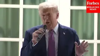 Trump Claims 'Almost $17 Trillion Will Be Invested In This Country Over The Next Few Months'