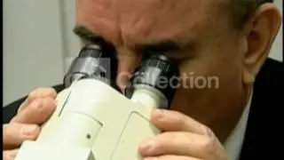 FILE:NEW SARS-LIKE VIRUS COULD SHOW UP IN U-S