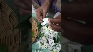 ful na malaji#pushtimarg #seva#flowers #champa #aprajita #leaves #like #subscribe