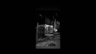 SON FEK~A // TAVARES ~ OG MIKLO (BEAT X @ogbeats666 )