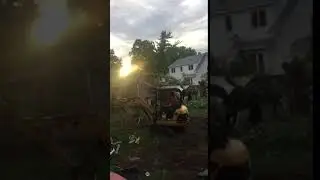 Tree Removal From Backyard Goes Wrong When It Comes Crashing Down on Shed - 1133562