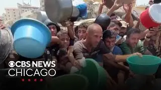 Food crisis in Gaza impacts aid groups, families in Chicago area