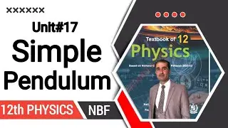 Simple pendulum class 12 nbf || federal board || All board exams || class 12 nbf || chapter 17