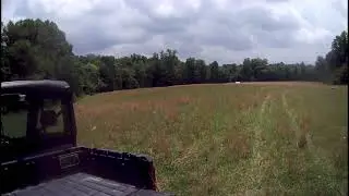 Flying the FX-79