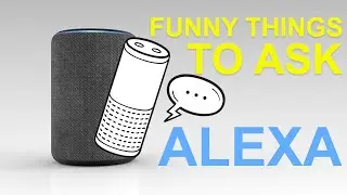Alexa Echo Funny Responses the Ultimate Guide