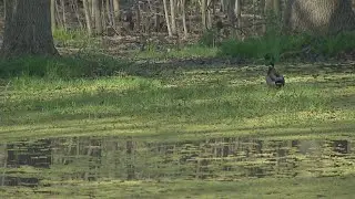 Environmental review process underway for proposed subdivison near former landfill