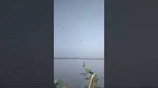 duck hunting in Pakistan