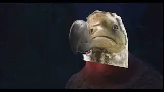 Cenozoic survival meme/Paleomeme | &ldquo;to get 🦤 off the menu&rdquo;