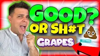 Grapecoin Token GRAPE Crypto Coin Review ✅ Will I buy some? *WATCH BEFORE YOU BUY