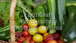 EarthCraft Permaculture &mdash; дизайн органического сада