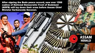 NDFB cadres lay down arms in Assam