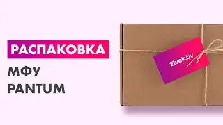 Распаковка &mdash; МФУ Pantum M6500