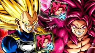 DAIMA UNIQUE EQUIP IS PRETTY GOOD!