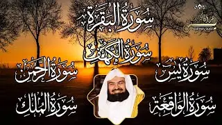 رقية للبيت سورة البقرة، الكهف، يس،الرحمن، الواقعة، الملك  شفاء وبركة وحفظ من الشيطان بإذن الله