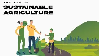The Key Of Sustainable Agriculture