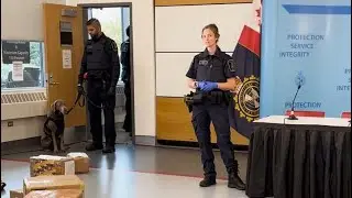 CBSA detector dog Charlee and handler demonstrate a search