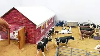 Miniature Cattle farm with tractor and trailer | Realistic Cow and Calf Farm Model