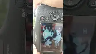 sony dsc h300 photographe