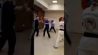 Sidokan Georgios Pantelis beim Hundsmühler TV