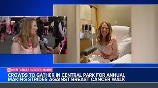 Crowds gather in Central Park for annual Making Strides Against Breast Cancer Walk