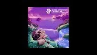 Space Dimension Controller - Slowtime in Reflection