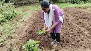 மழையால் ஏற்படும் நஷ்டத்தை ஈடுகட்ட முடியல @Saraljacob 