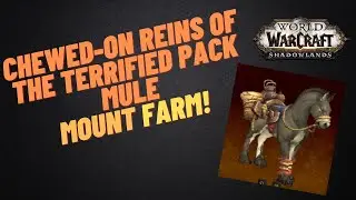 460,000 Gold Chewed-On Reins of the Terrified Pack Mule Grind | Shadowlands Goldfarming