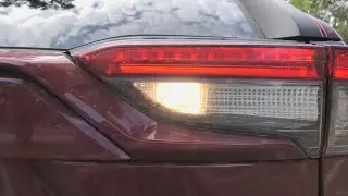 Toyota RAV4 (2019-2024): Замена лампочек заднего хода.