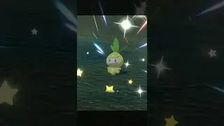 Shiny Petilil! (283/366 shiny everyday) #shiny #pokemon #pokemonlegendsarceus