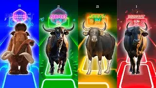 Choose the Strongest Animal 🐘🐂 | Evolution Test
