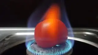 EXPERIMENT VIDEOS ! How Tomatoes React to Fire Explosive Experiments Unveiled ! THE GALAM