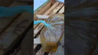 Зимняя подкормка пчел 2026: Спасаем или губим? 🐝 @pasekanaostrove