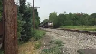 NS 309