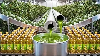 Inside a Modern Avocado Oil Factory &ndash; Step by Step Production 🥑