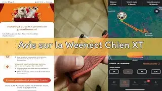 Avis sur la Weenect Chien XT