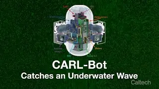 CARL-Bot Catches an Underwater Wave