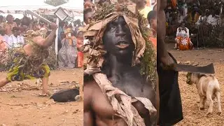 The Bakweri Sacred Muteo Tradition(Goat Cutting)